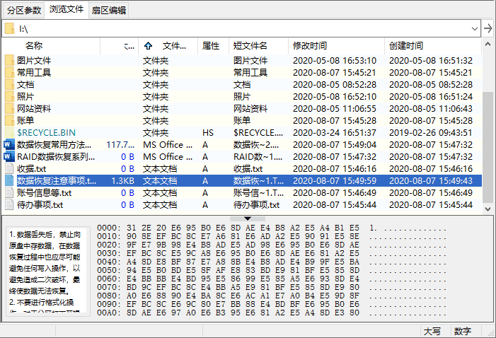 diskgenius预览文件