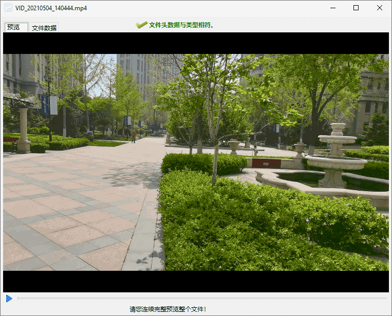 diskgenius预览文件
